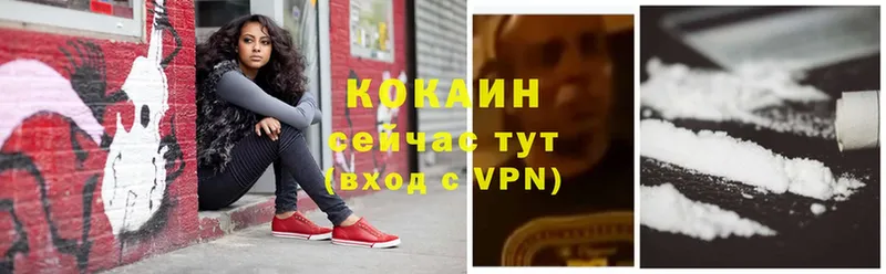 COCAIN Эквадор  Буинск 