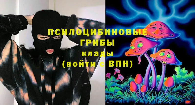 как найти   Буинск  Галлюциногенные грибы Magic Shrooms 